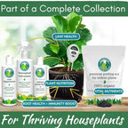 Houseplant Health Meter, 3-in-1 Soil Moisture, Sunlight & pH Testing Tool - Image 6
