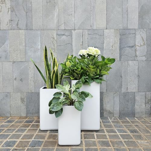 KUTE NEST 11" Premium Elio Fiberstone Oval Planter - White - Image 3