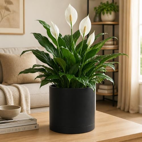 Giraffe Creation 12 Inch Cylinder Plant Pot, Modern Round Planter with Drainage Holes and Saucer, Lightweight Plastic Flower Pot for Indoor Outdoor Plants, Black - Image 2