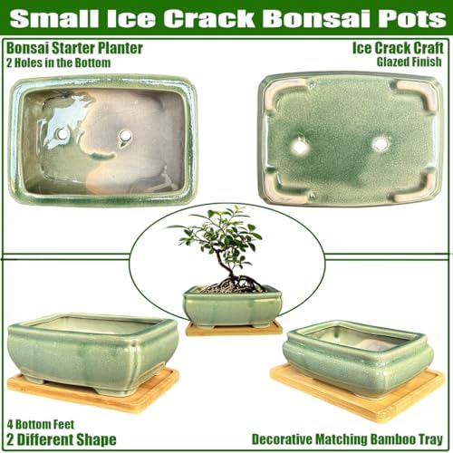 MUZHI 2pcs Green Ceramic Bonsai Planter Pots with Bamboo Tray 6.2 “ & 5.3”, Rectangular Glazed Bonsai & Succulent Cactus Starter Pot with Drainage Ice Crack Design (2 Crackle Glazed 6") - Image 3