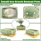 MUZHI 2pcs Green Ceramic Bonsai Planter Pots with Bamboo Tray 6.2 “ & 5.3”, Rectangular Glazed Bonsai & Succulent Cactus Starter Pot with Drainage Ice Crack Design (2 Crackle Glazed 6") - Image 3
