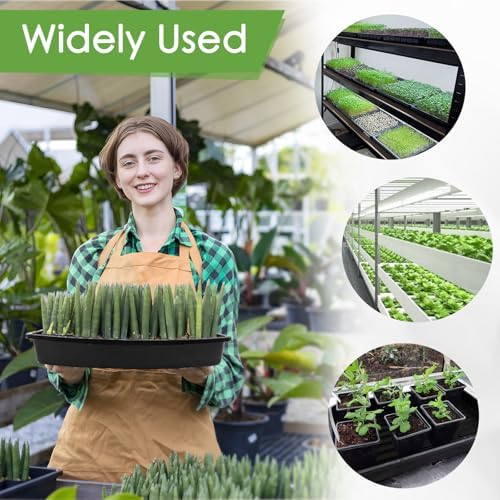 6 Pack Microgreens Growing Kit, Microgreens Trays for Indoor Gardening - Image 6
