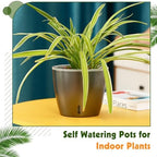 Self Watering Pots for Indoor Plants, 6-Pack 6.7'' Self Watering Planter with Drainage Holes, Small African Violet Pots with Water Indicator, Clear Wick Orchid Pot, Grey Gold - Image 5