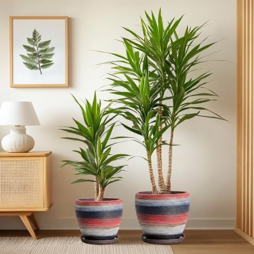 10/8/6 Inch Ceramic Planter, Ceramic Plant Pots Indoor, Rainbow - Image 4