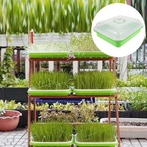 2 Sets Sprout Trays with Lid for Seed Starting Plastic Green - Image 7