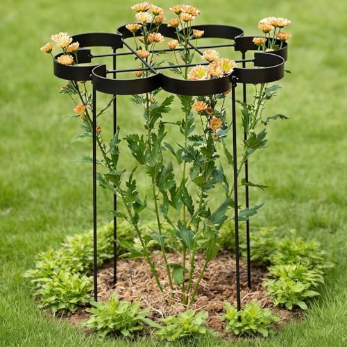 25" Peony Cages and Supports Elegant Modern Flower Support Stakes by Goooxim