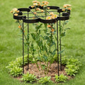 25" Peony Cages and Supports Elegant Modern Flower Support Stakes by Goooxim