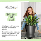 Lechuza Classico LS 43 Black High Gloss, Self-Watering Round Planter, D16.9 H15.7 in - Image 7
