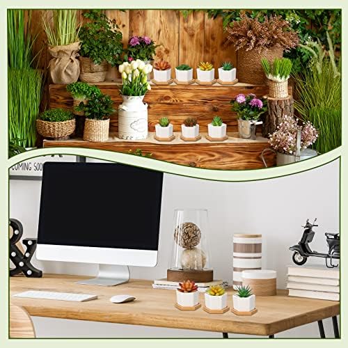 Gerrii Succulent Pots Mini White Ceramic Flower Planter Pot Succulent Planters with Wooden Trays and Drainage Holes for Plants Cactus Home Office Decoration, Plants Not Included(24 Pcs) - Image 6