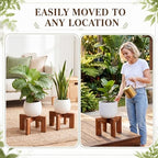 Tandefio 5 Pack Fall Wood Plant Stand Indoor Outdoor Plant Holder Modern Sturdy Planter Stands, Single Flower Pot Holder , Fit 5-9 Inch Variety Pot, Easily Assemble, Retro Brown (8 x 4.5 Inches) - Image 6