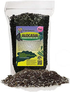 Organic Alocasia Plant Soil Mix by Gardenera - Cultivate Leaf Excellence with Natural and Nutrient-Rich Formula - 5 Quart by Gardenera