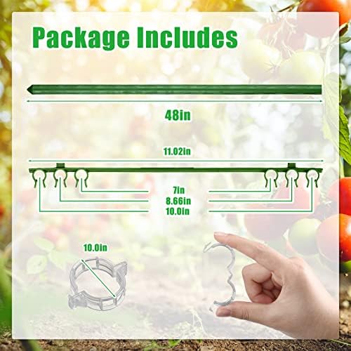 Chunful 10 Packs Tomato Cages for Garden Support up to 48", Green - Image 2