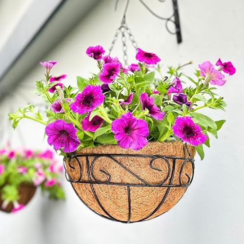 LaLaGreen Patio Hanging Planter (18 in, 2 Pack) Black Metal Wire Baskets by L%C3%A1L%C3%A1Green