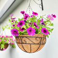 LaLaGreen Patio Hanging Planter (18 in, 2 Pack) Black Metal Wire Baskets by L%C3%A1L%C3%A1Green