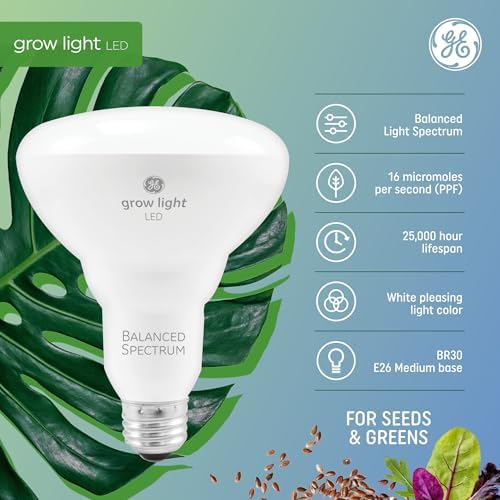 GE Grow Lights for Indoor Plants, BR30 Indoor Floodlight, LED Light Bulbs for Seeds and Greens with Balanced Spectrum, 25,000 Hours Lifespan, 16 PPF, 4 Pack (Packaging May Vary) - Image 2