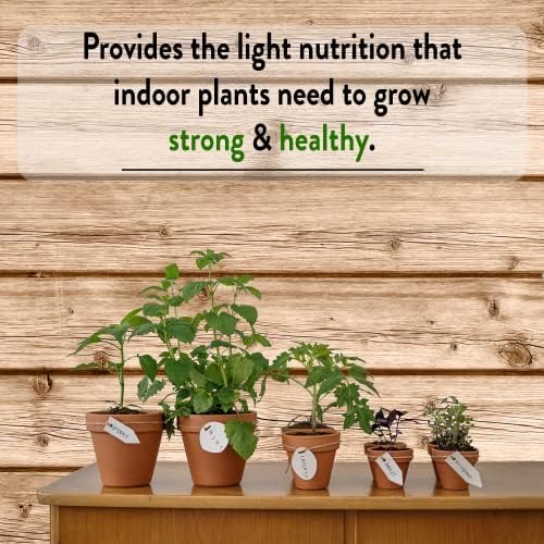 Norb NorbBOTANIC BR30 LED Grow Light – Full-Spectrum Sunlight Bulb for Indoor Plants - 14W Energy-Efficient Grow Lamp for Indoor Houseplants, Herbs, Seedlings & Tropical - E26 Base (2-Pack) - Image 5