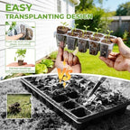 HIRALIY 80 Cell Seed Starter Tray Kits, Reusable Plant Germination Trays, Easy Transplanting, with Humidity Domes and Bases, for Starting Vegetable, Flower & Herb Seeds, Indoor Gardening, Greenhouse - Image 2