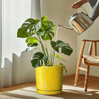 Eightpot Plant Drip Trays, 11.4 Inch Plant Saucers for Indoors, Ceramic Plant Saucers for Outdoors, Round Plants Plates to Catch Water, Boho Decorative Plants Dishes to Catch Water, Yellow - Image 3
