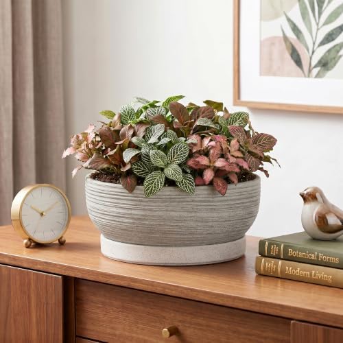 Ceramic Bonsai Planter, 8 Inch Succulent Pot with Tray, Brushed Grey - Image 6