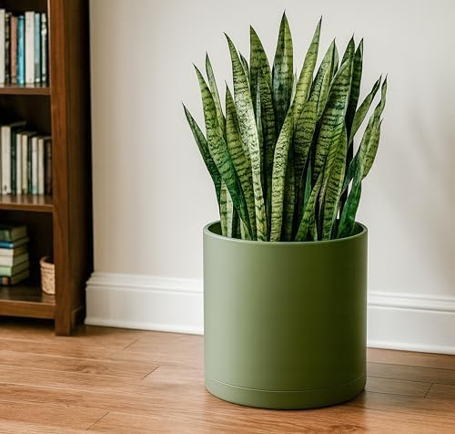 D'vine Dev Plastic Planter Pot with Saucer, 14 in, Olive, 74-X-I-4 - Image 2