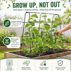 63x63 Cucumber Trellis for Raised Garden Bed, Black - Image 5