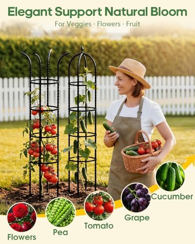 2 Pack 6.2ft High Adjustable Garden Trellis for Climbing Plants, Black - Image 6