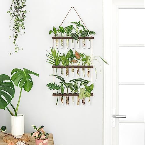 Mkono Plant Propagation Tubes and 43 Inch Macrame Plant Hanger Large for up to 12 Inch Pot Extra Long - Image 3