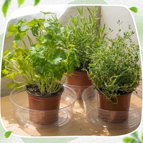 Hoolerry 15 Pcs Plastic Plant Saucer Clear Deep Tray, 14 Inch - Image 6