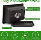 Meekear 5 Bonsai Tree Kit Complete Plant Growing Tools, Grow in Pot Indoor Bonsai Tree Starter Kit, Great Home Gardening Potted Plants DIY Gift for Adults - Image 3