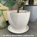 Plant Water Catcher Trays - Ceramic Plant Saucers 12 Inch Plant Trays for Indoors No Holes Plant Drip Trays Drainage Decorative Flower Pot Saucers Large Plant Dishes 2 Pack White - Image 3