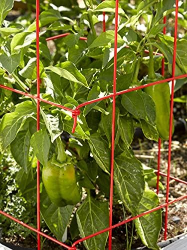 Gardener's Supply Company Pepper & Eggplant Cages - Red (Set of 3) - Image 4