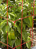 Gardener's Supply Company Pepper & Eggplant Cages - Red (Set of 3) - Image 4