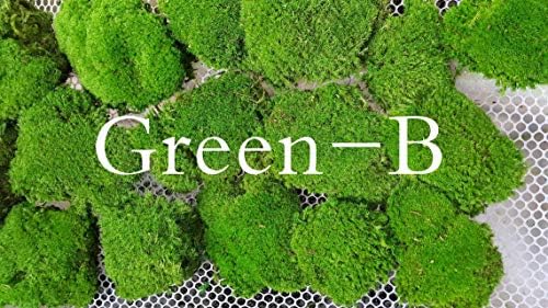 Preserved Pole Moss Pillow Bun Cushion Natural Green Decorative Real Natural Green DIY Kit Terrariums Gardenning Art Wall Decor Florist Decor Easter Table Decor Wedding(13.5 sq.ft., Green-B) by %E7%8E%B0%E5%9C%A8%E8%B4%AD%E4%B9%B0