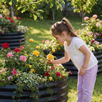 AHEONLAR 3 Pack 2x2x1 ft Round Galvanized Raised Garden Bed Kit Round Metal Flower Box Large Planter Raised Beds Outdoor Garden for Planting,Fruit,Herb Black - Image 3