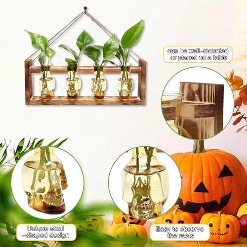 Plant Propagation Stations Halloween Skull Plant Terrarium Kit - Image 3