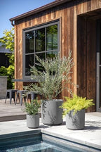 Veradek Demi Round Gray Plastic Planter Bundle (12 in. 16 in. 20 in.) DMV-BUN-C - Image 3