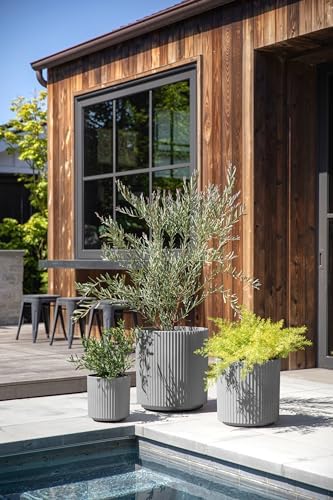 Veradek Demi Round Gray Plastic Planter Bundle (12 in. 16 in. 20 in.) DMV-BUN-C - Image 3