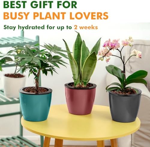 Planterhoma 5 Inch Self Watering Pots for Indoor Plants, 12 Packs African Violet Pots with Indicator, Black Wick Pot with Drainage Holes, Self Watering Planters for Orchid, Devil's Ivy, White - Image 5