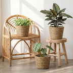 4 Pcs Straw Plant Baskets Indoor Rattan Woven Flower Baskets with Plastic Liner, Cattail Plant Planter for Indoor Outdoor Rustic Boho Home Farmhouse Floor Potted Pots Decor - Image 4