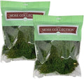 Sheet Moss, Preserved Moss, Green, Medium 2-Pack by QualityGrowers