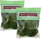 Sheet Moss, Preserved Moss, Green, Medium 2-Pack by QualityGrowers
