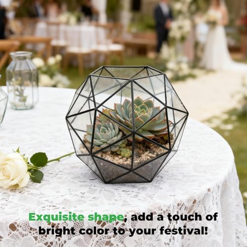 Glass Flower Pots Geometric Terrarium Planter Container Air Plant Display Air Plant Containers for Succulents Balcony Tabletop Miniature Fairy Garden Modern Decor Terrarium Large - Image 2