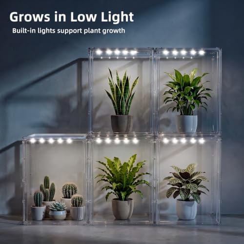 JOYZAN Clear Mini Indoor Greenhouse Small Tabletop Green House with Lights - Image 6