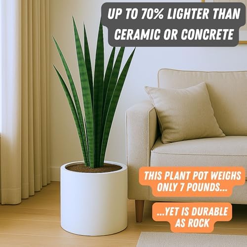 Fox & Fern Large Planter for Indoor or Outdoor, Matte White, 12 Inch - Image 3