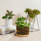 Tiger Fur Skin Ceramic Planters Animal Strip Print Planters for Indoor Plants with Drainage Holes and Saucers Pot for Succulents Cactus Garden Windowsill - Image 4