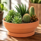 Laerjin Terracotta Pots, 6.43 Inch Shallow Planters with Saucers, 6 Pack - Image 7