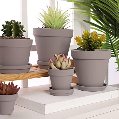 Yishang Large Terra Cotta Pots with Saucer- 6 Pack Large 6'' Terra Cotta Plant Pot with Drainage Hole, Flower Pot with Tray, Terracotta Pot for Indoor Outdoor Plant(Grey) - Image 5