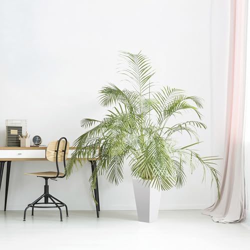 Bloem Tall Finley Tapered Square Planter: 20" - Casper White - Matte Textured Finish, 100% Recycled Plastic Pot, for Indoor and Outdoor Use, Gardening, 5 Gallon Capacity - Image 7