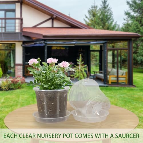 30 Pack 3/4/5/6/7 Inch Clear Nursery Pots with Drainage and 30 Pack Plant Saucers, Plant Pots for Plants Transparent Potting Containers for Plants Seeding Starter Pot (Clear, 3/4/5/6/7 Inch) - Image 6