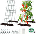 RIFNY Cucumber Trellis for Raised Bed, Garden Trellis 16.5 x 60 Inch, Green by RIFNY